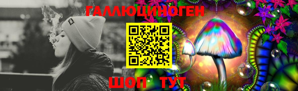 Галлюциногенные грибы MAGIC MUSHROOMS  Галлюциногенные грибы Psilocybine cubensis  Котовск  Вход с VPN 